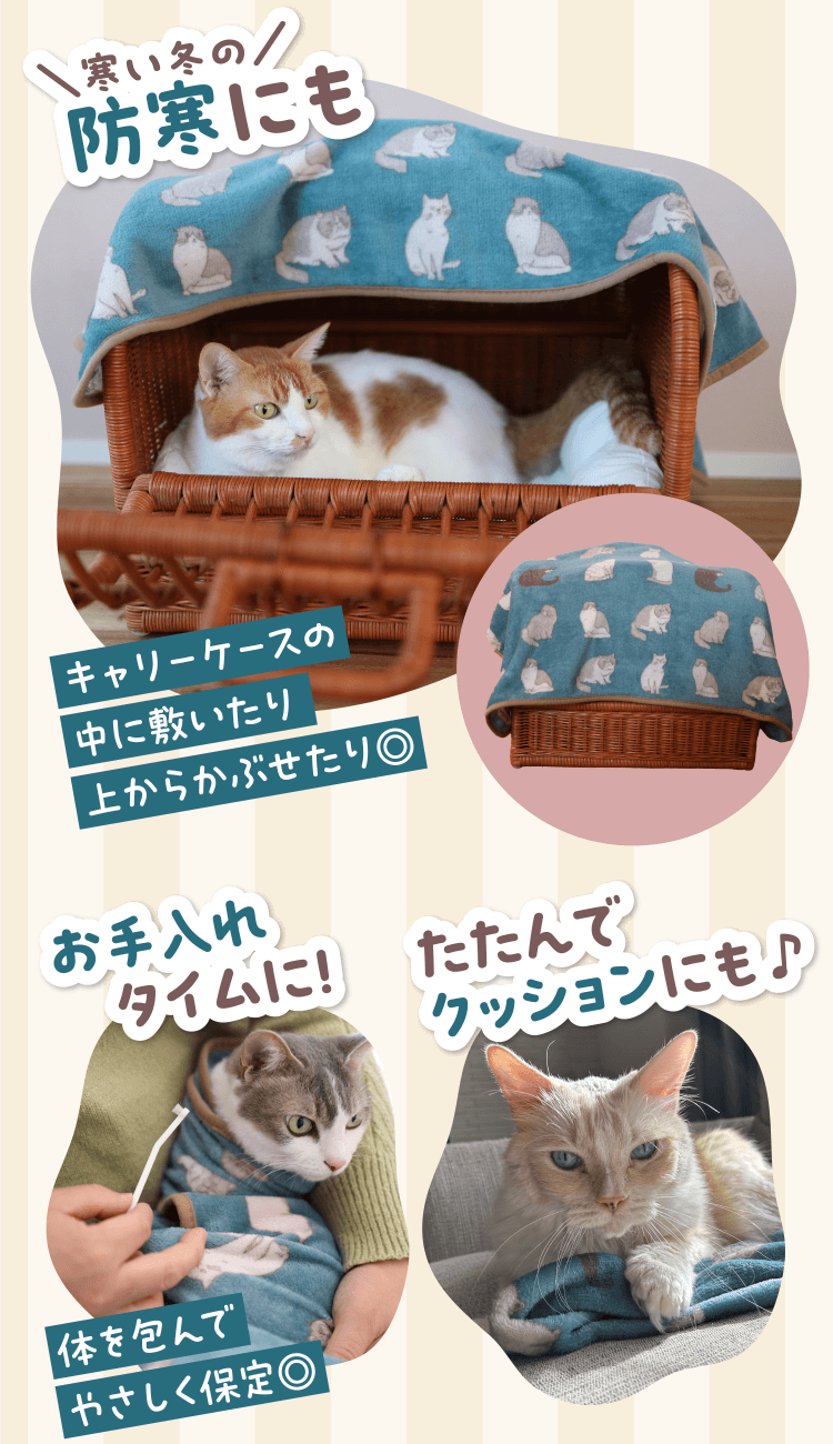特典・ふろくのご紹介| 愛猫の健康・育て方がわかる雑誌「ねこのきもち