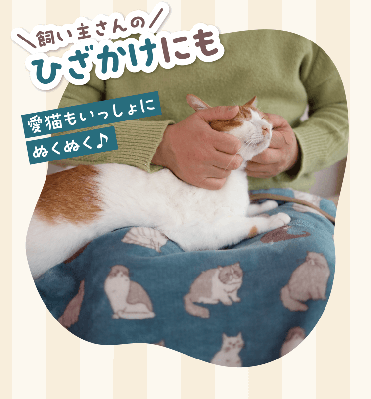 特典・ふろくのご紹介| 愛猫の健康・育て方がわかる雑誌「ねこのきもち