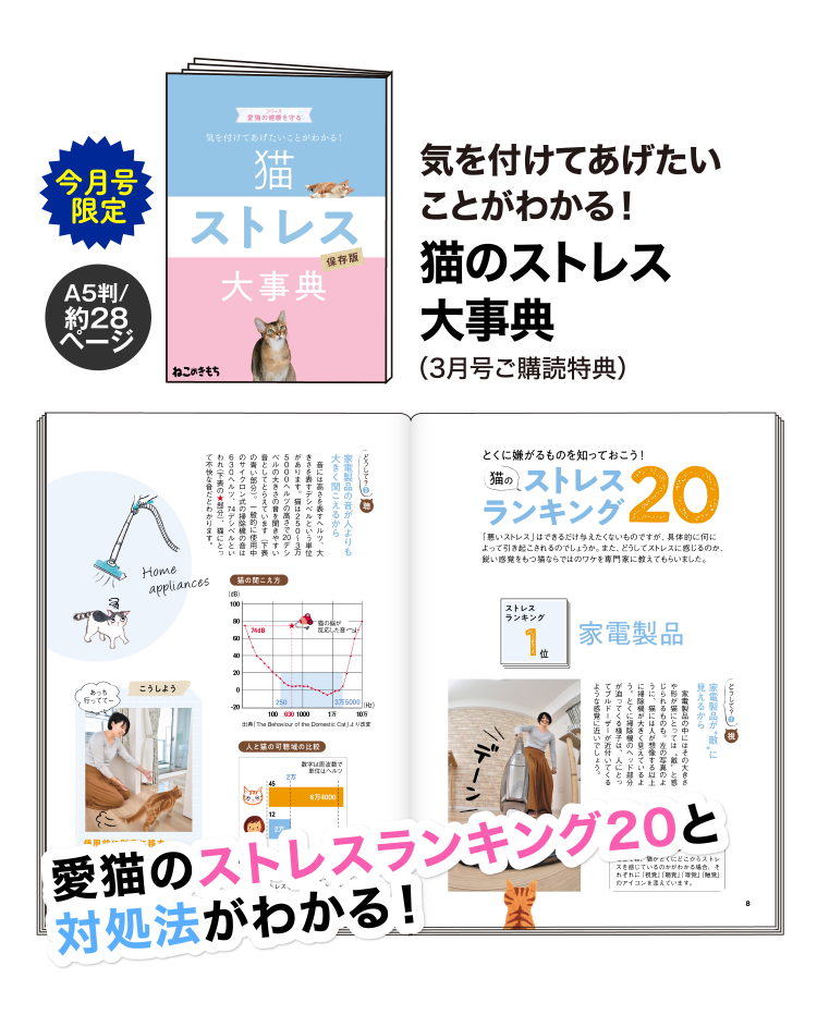 気を付けてあげたいことがわかる！猫のストレス大事典（3月号ご購読特典）
