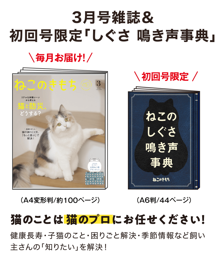 特典・ふろくのご紹介| 愛猫の健康・育て方がわかる雑誌「ねこのきもち