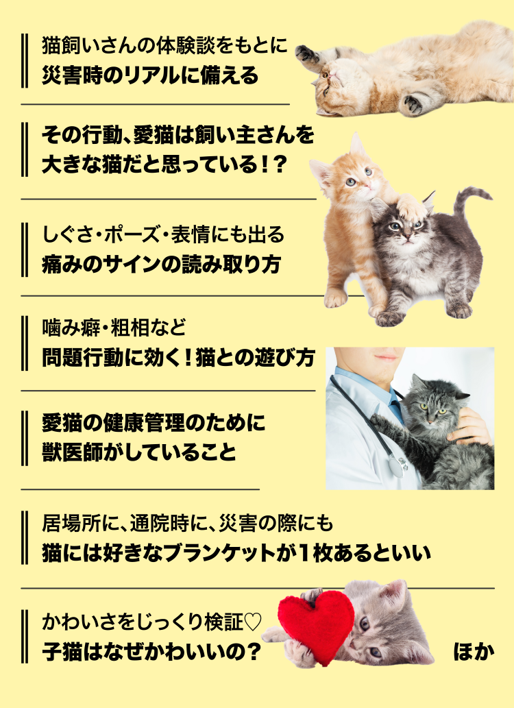 特典・ふろくのご紹介| 愛猫の健康・育て方がわかる雑誌「ねこのきもち