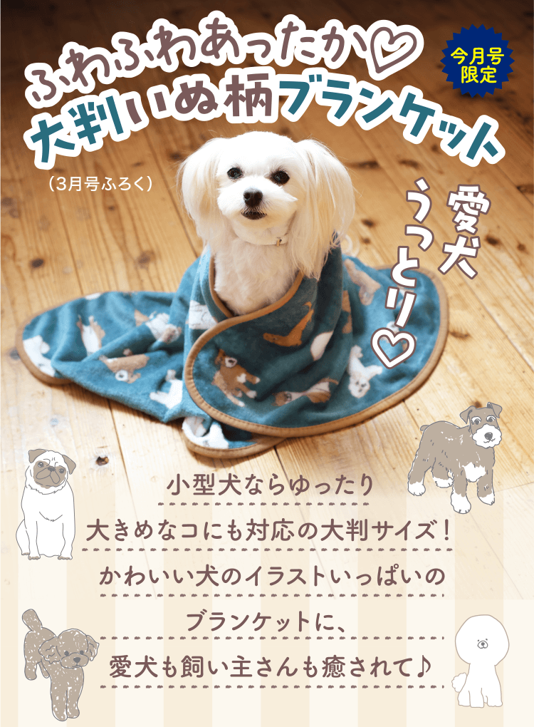特典・ふろくのご紹介| 愛犬の健康・育て方がわかる雑誌「いぬのきもち
