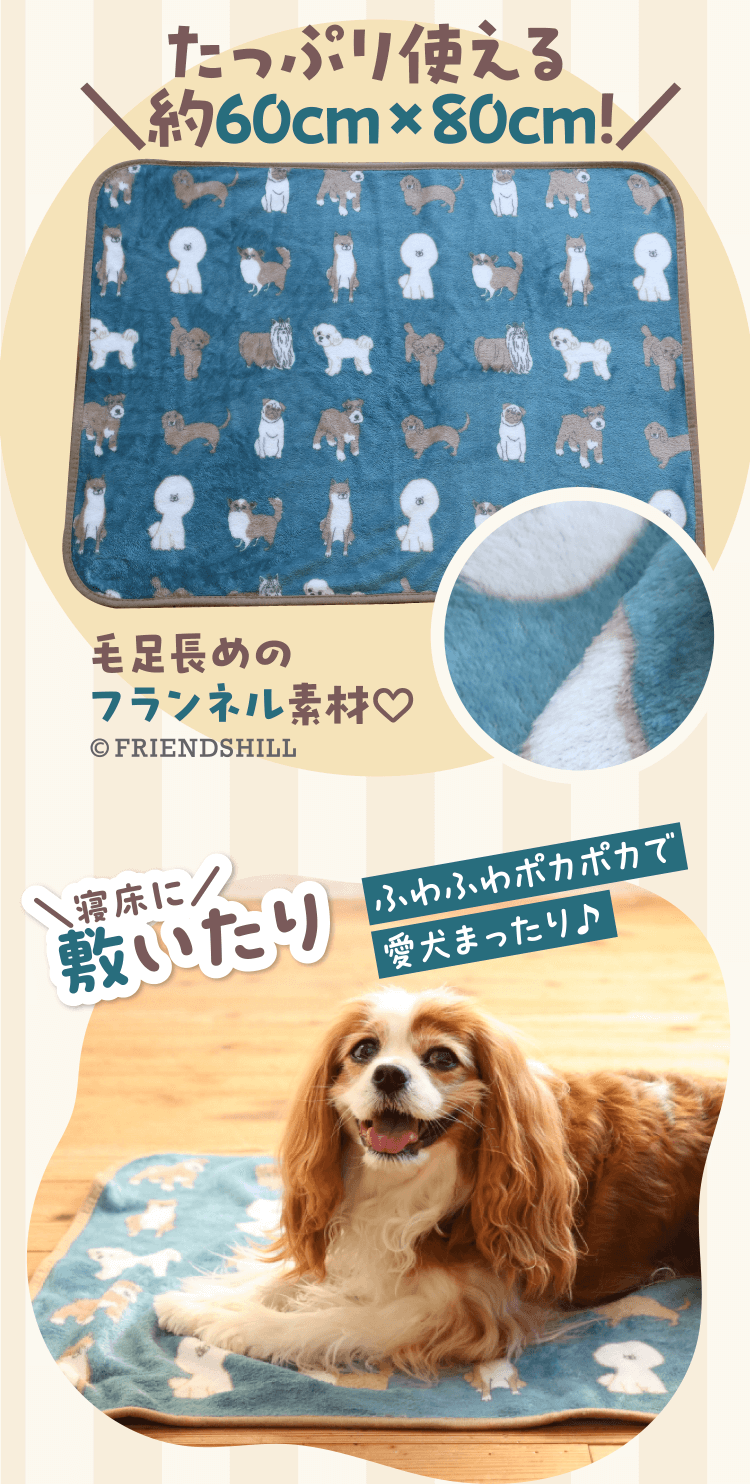 特典・ふろくのご紹介| 愛犬の健康・育て方がわかる雑誌「いぬのきもち