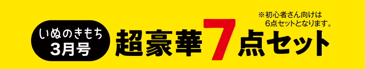 いぬのきもち3月号