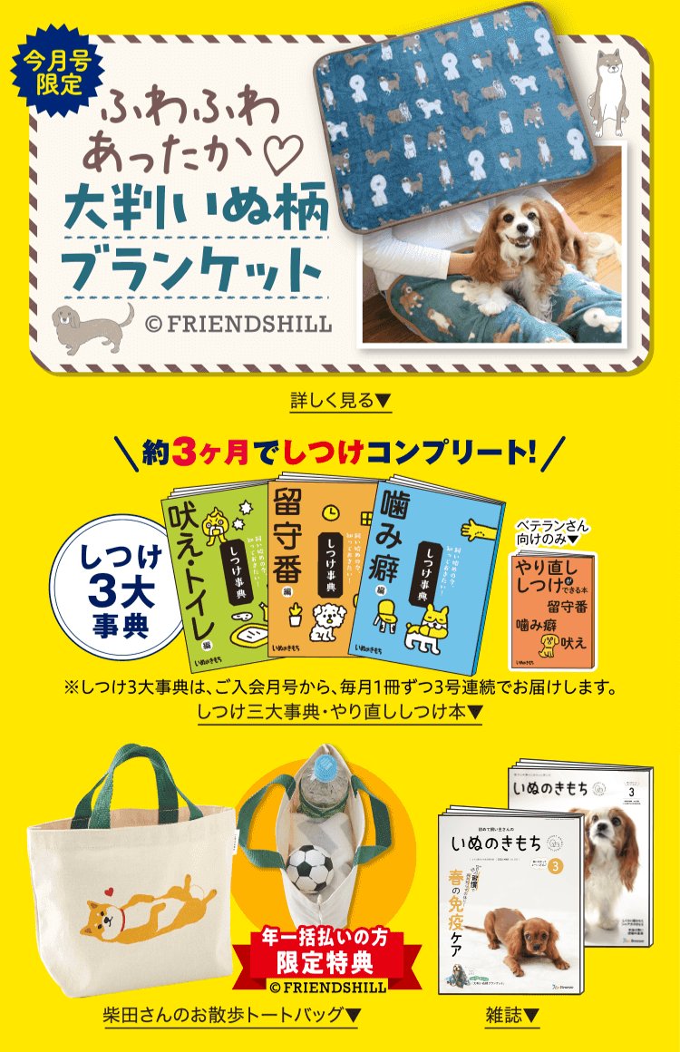 愛犬大好き様 リクエスト 6点 まとめ商品 特典・ふろくのご紹介| 愛犬の健康・育て方がわかる雑誌「いぬのきもち