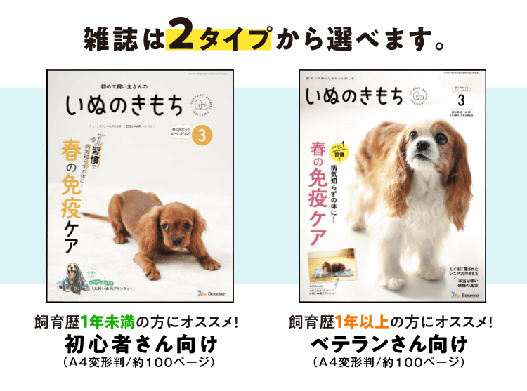 特典・ふろくのご紹介| 愛犬の健康・育て方がわかる雑誌「いぬのきもち