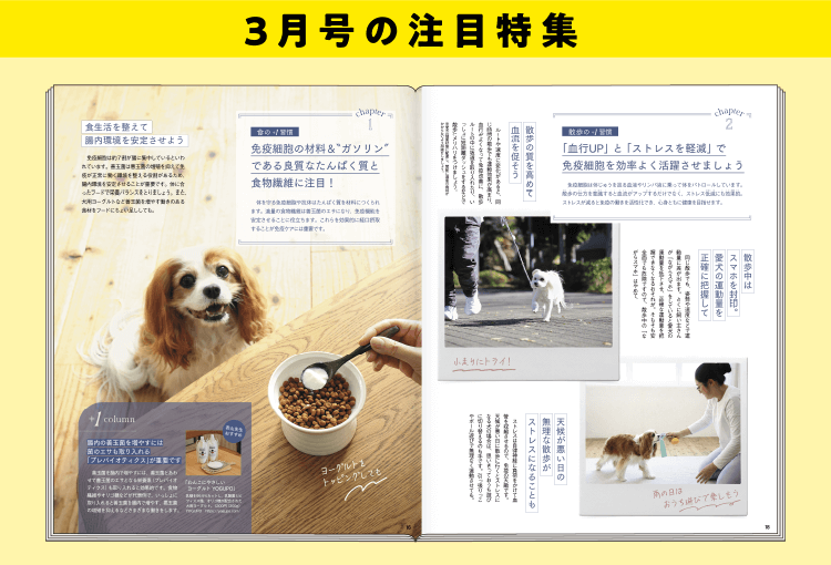 特典・ふろくのご紹介| 愛犬の健康・育て方がわかる雑誌「いぬのきもち