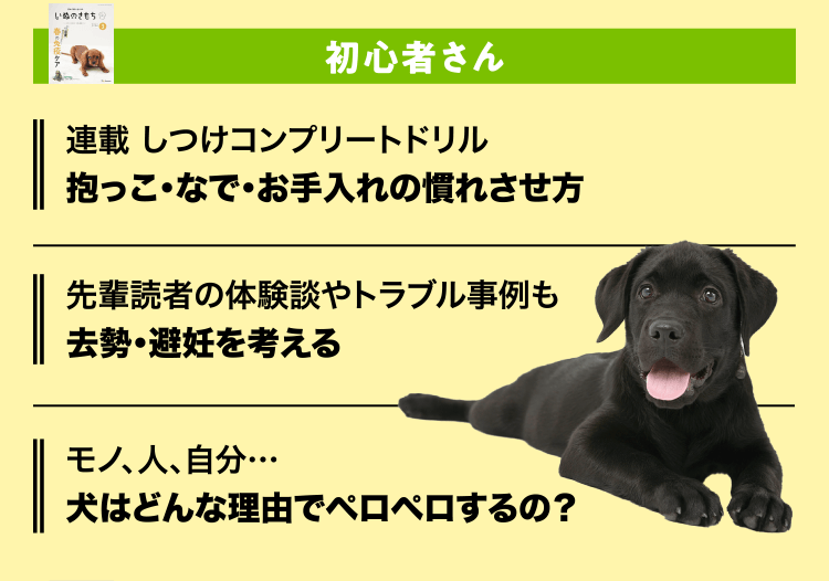いぬのきもち　初心者さん