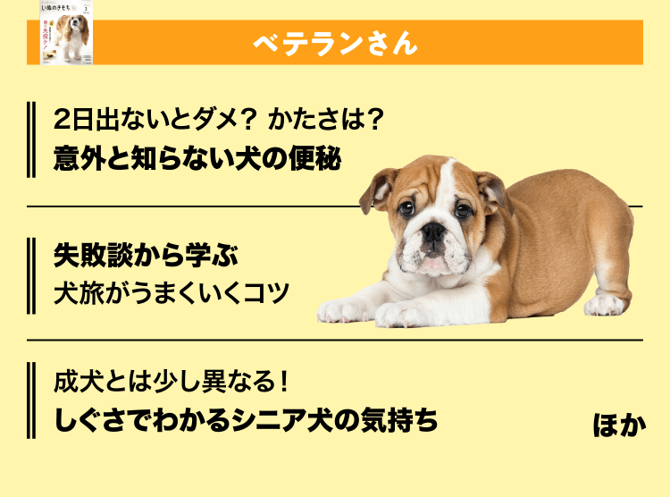 特典・ふろくのご紹介| 愛犬の健康・育て方がわかる雑誌「いぬのきもち