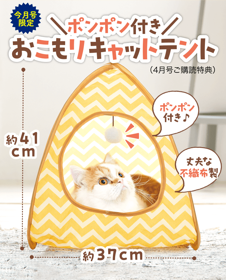 ＼ポンポン付き／おこもりキャットテント