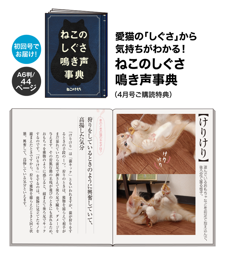 愛猫の「しぐさ」から気持ちがわかる！ ねこのしぐさ鳴き声事典（4月号ご購読特典）