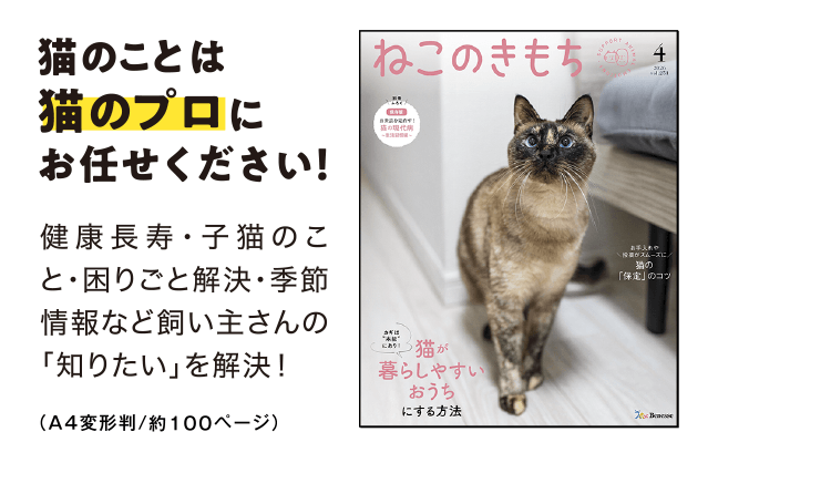 猫のことは猫のプロにお任せください！[A4判／約100ページ]