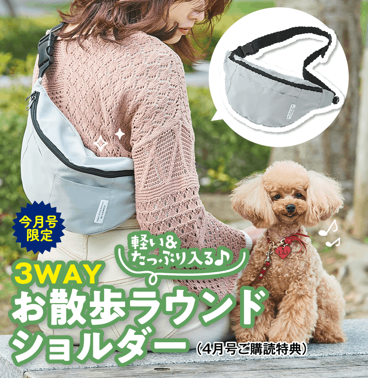 【今月号限定】軽い&たっぷり入る♪3WAYお散歩ラウンドショルダー