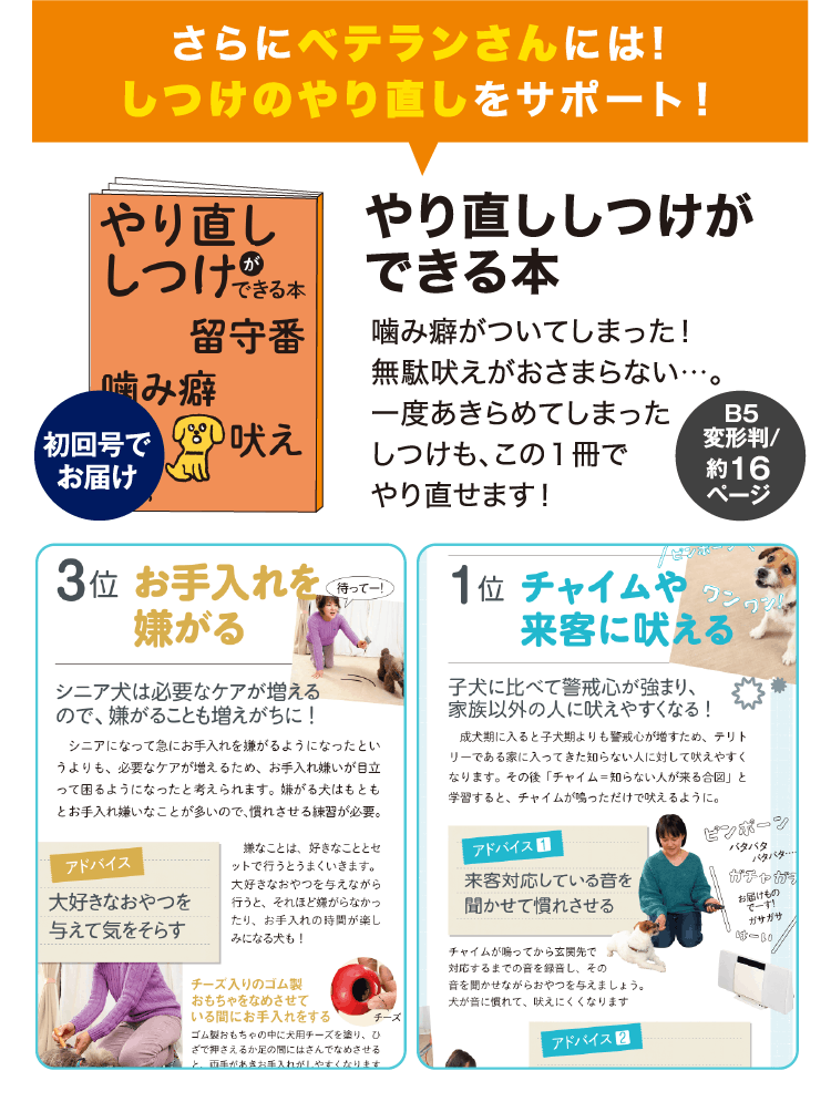 さらにベテランさんには!しつけのやり直しをサポート!≪やり直ししつけができる本≫