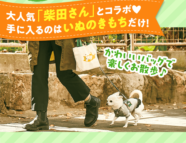 大人気「柴田さん」とコラボ!手に入るのはいぬのきもちだけ!