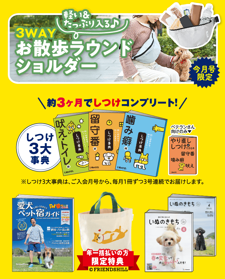 超豪華8点セット ※初心者さん向けは7点セットとなります。