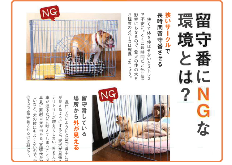 留守番にNGな環境とは？