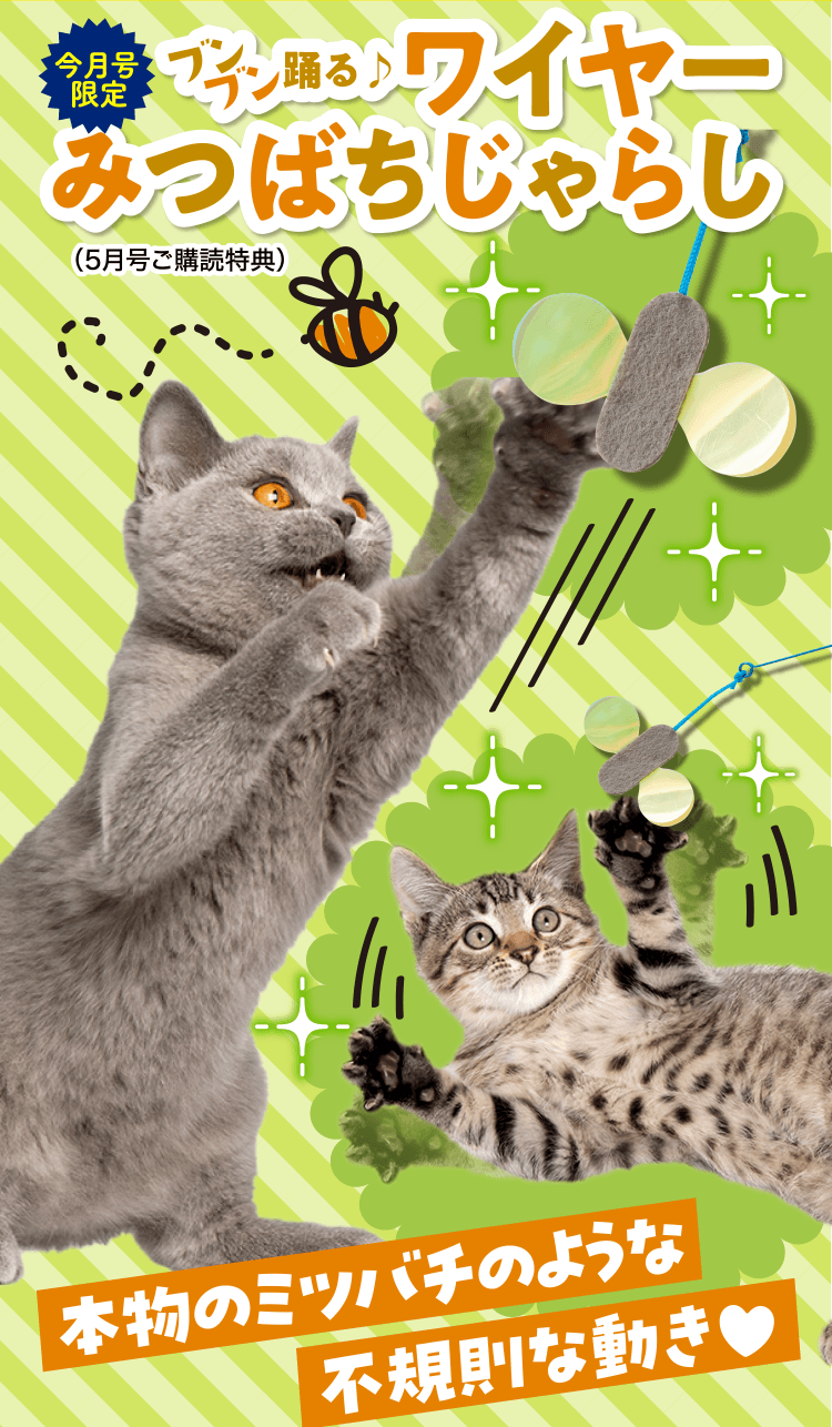 今月号限定 ブンブン踊る♪ワイヤーみつばちじゃらし 本物のミツバチのような不規則な動き