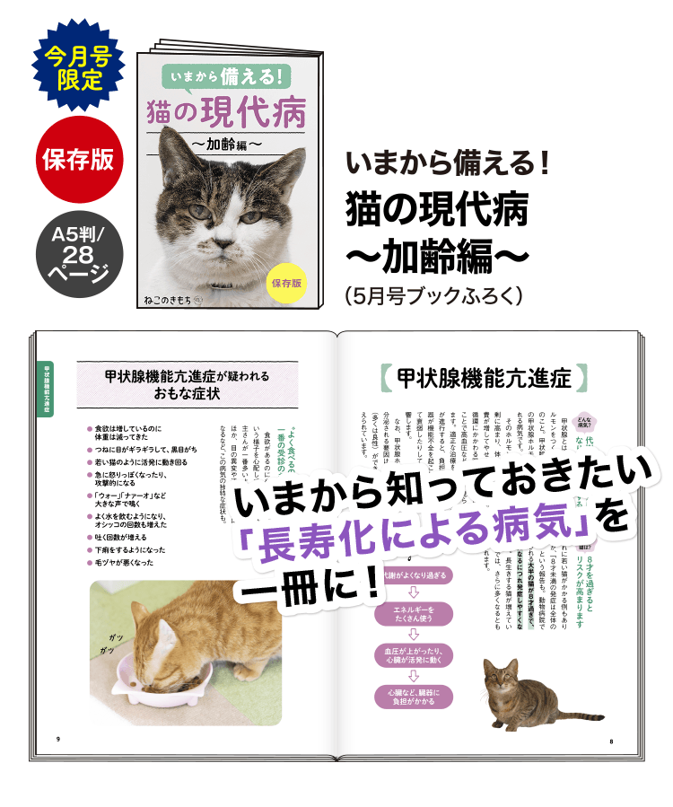 いまから備える！猫の現代病～加齢編～（5月号ブックふろく）