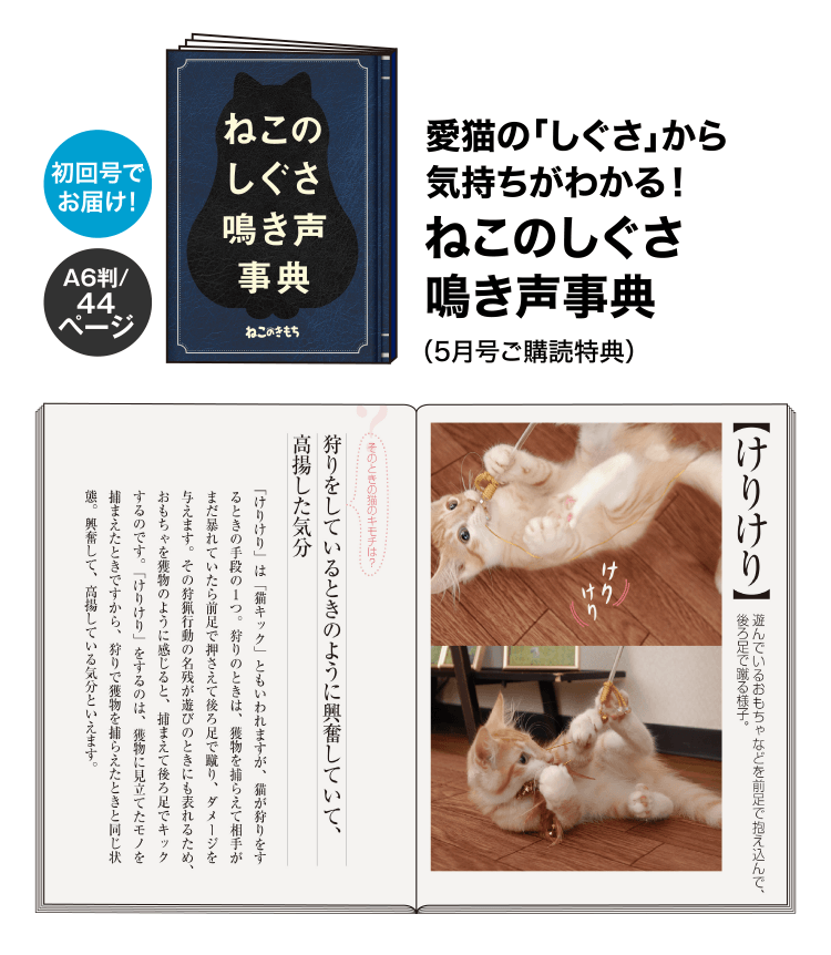 愛猫の「しぐさ」から気持ちがわかる！ ねこのしぐさ鳴き声事典（5月号ご購読特典）