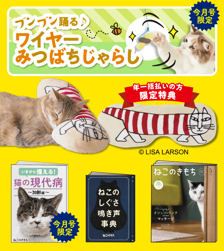 超豪華5点セット