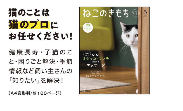 猫のことは猫のプロにお任せください！[A4判／約100ページ]