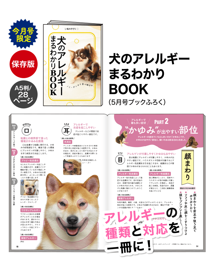 犬のアレルギーまるわかりBOOK（5月号ブックふろく）