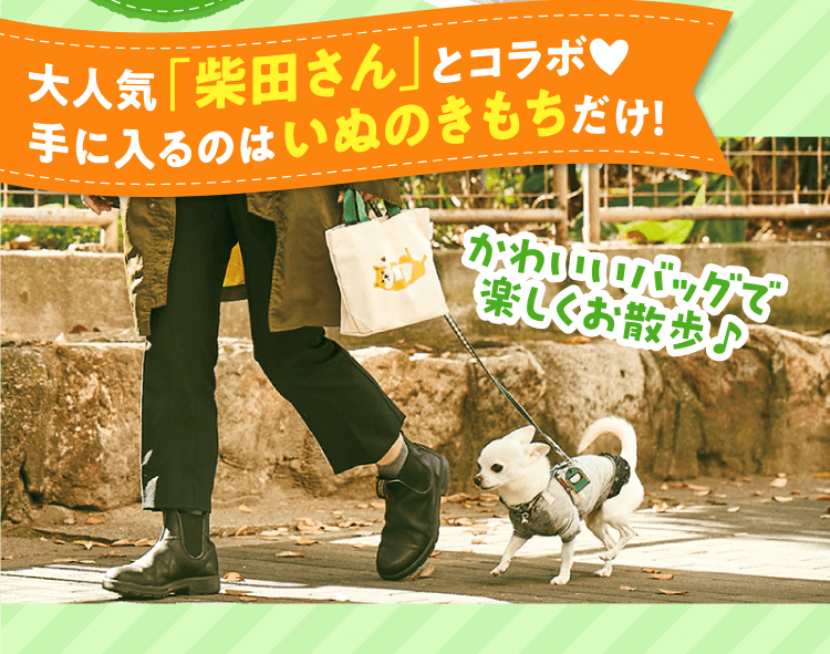 大人気「柴田さん」とコラボ！手に入るのはいぬのきもちだけ！