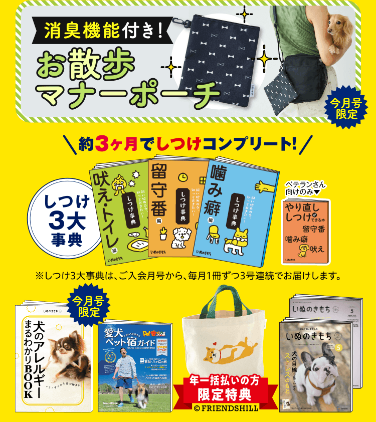 超豪華9点セット ※初心者さん向けは8点セットとなります。
