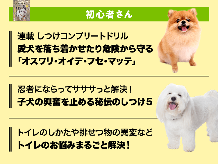 いぬのきもち　初心者さん