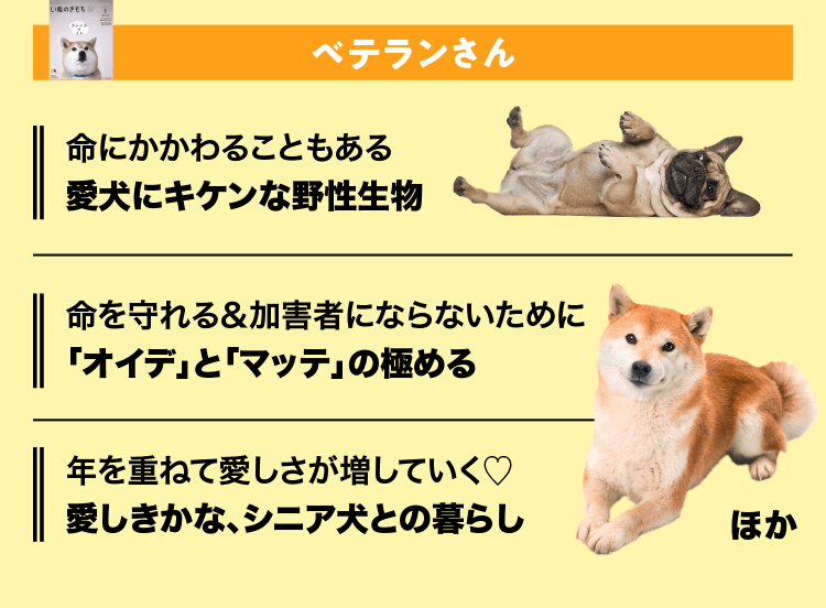 いぬのきもち　ベテランさん
