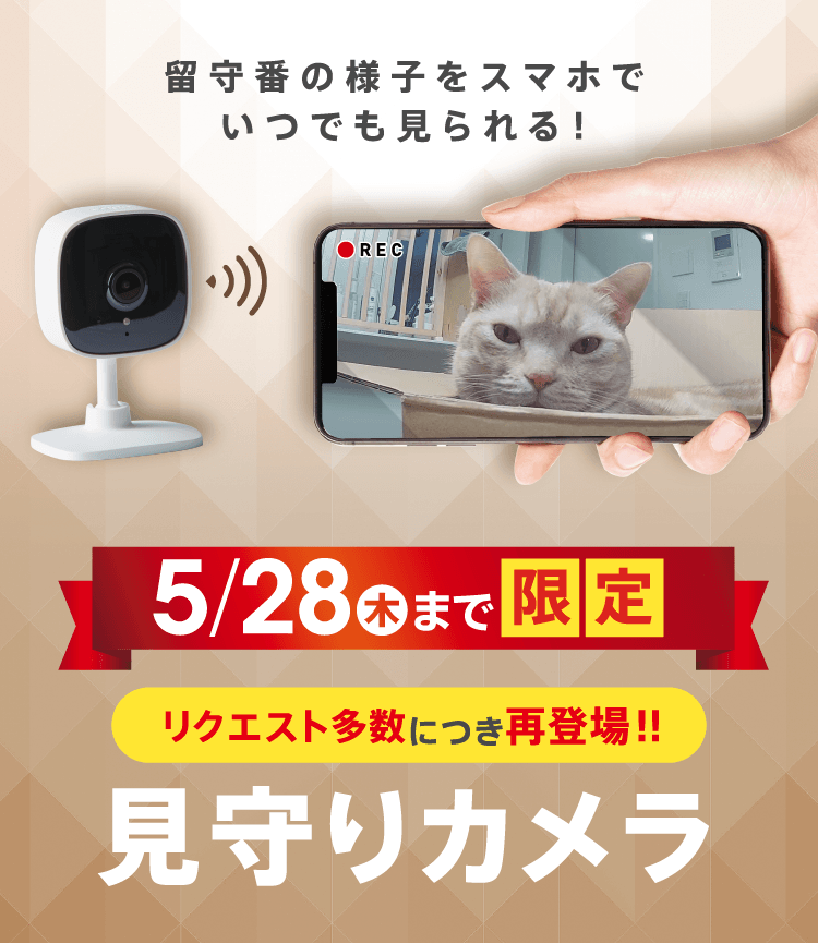 【リクエスト多数につき再登場！】留守番の様子をスマホでいつでも見られる！ ≪見守りカメラ≫ 