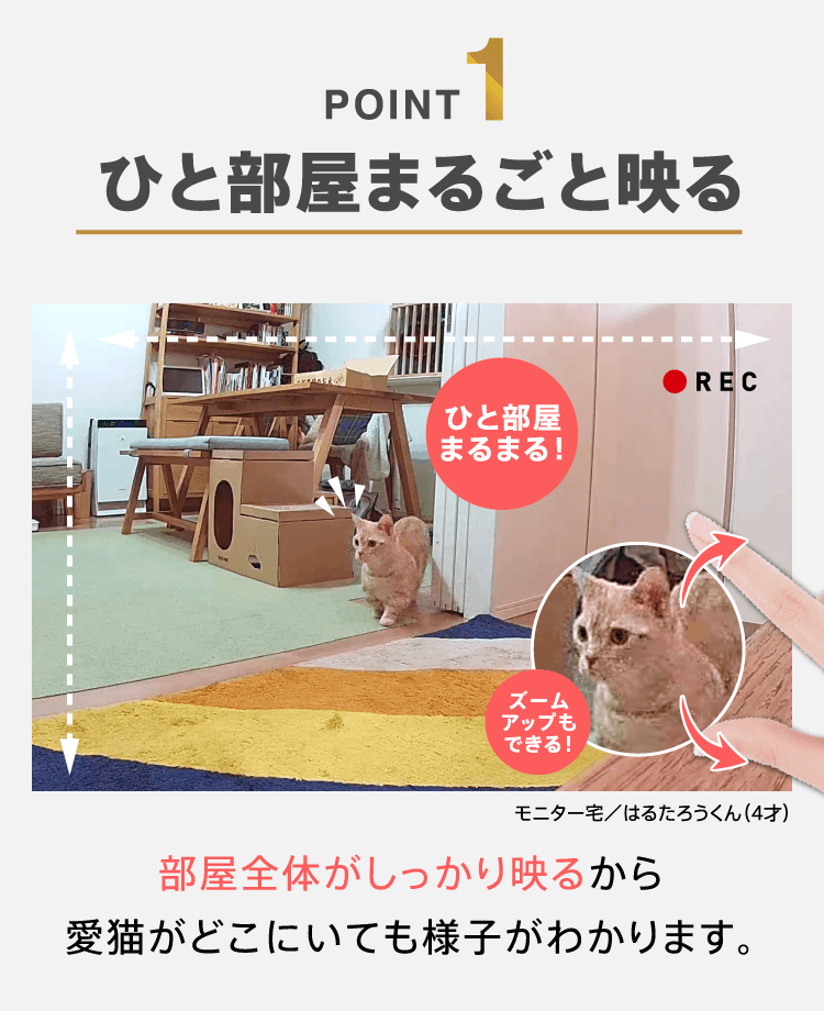 POINT1　ひと部屋まるごと映る