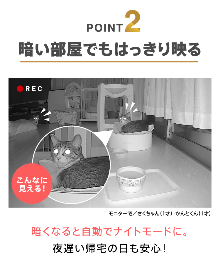 POINT2　暗い部屋でもはっきり映る