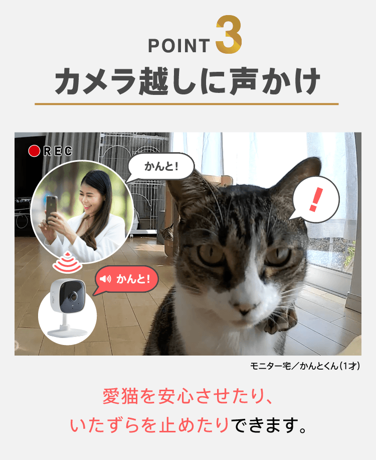 POINT3　カメラ越しに声かけ