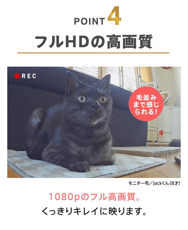 POINT4　フルHDの高画質