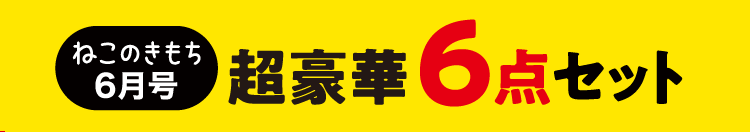 ねこのきもち6月号　超豪華6点セット