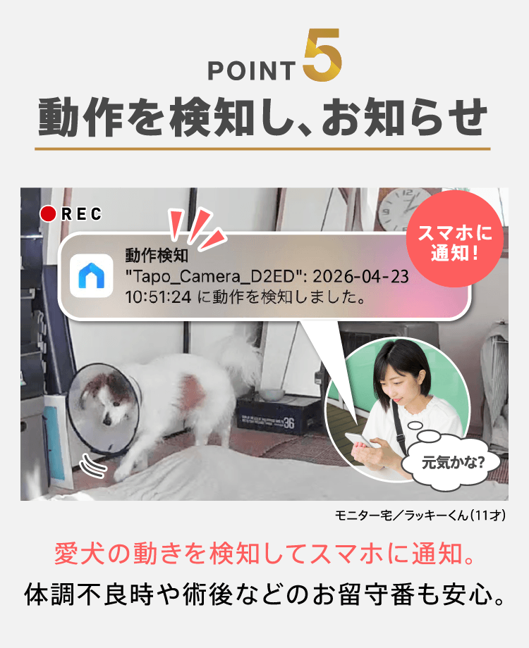 POINT5　動作を検知し、お知らせ