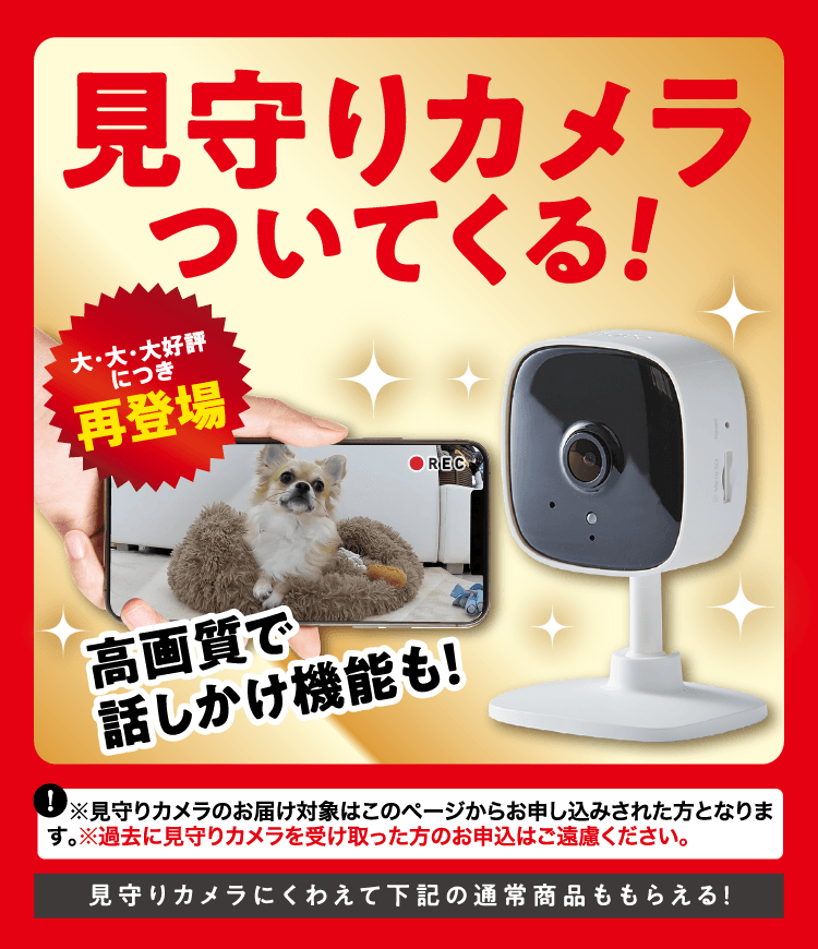 このページからのお申し込み限定！ ≪見守りカメラ≫プレゼント！