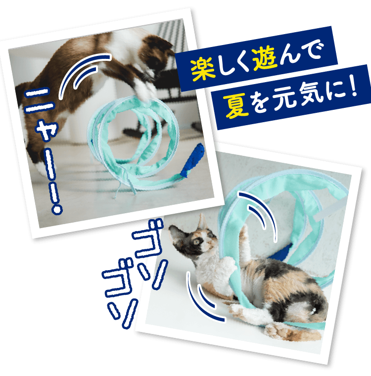 楽しく遊んで夏を元気に！