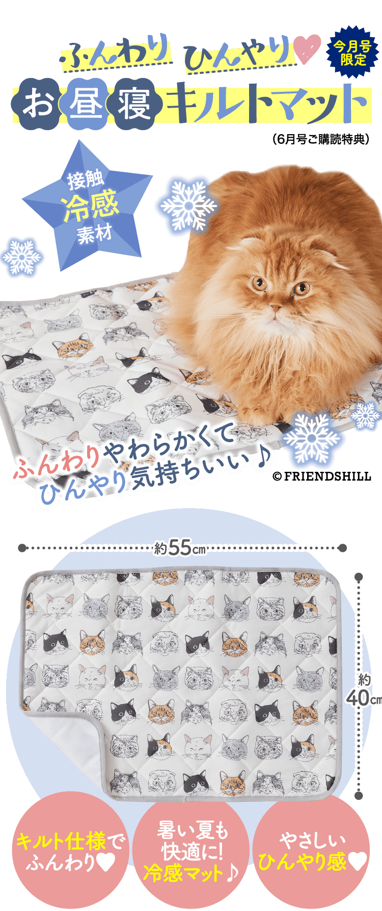 【今月号限定】ふんわり　ひんやり　お昼寝キルトマット