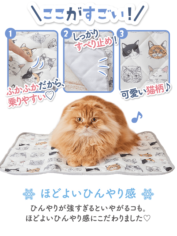 (1)ふかふかだから乗りやすい／(2)しっかりすべり止め！／(3)可愛い猫柄♪／ひんやりが強すぎるといやがるコも。ほどよいひんやり感にこだわりました。