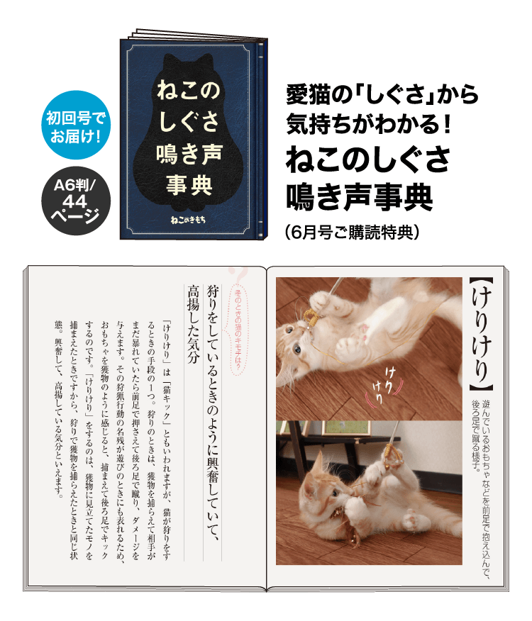 愛猫の「しぐさ」から気持ちがわかる！ ねこのしぐさ鳴き声事典（6月号ご購読特典）