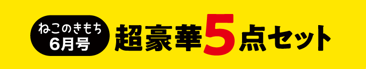 ねこのきもち6月号