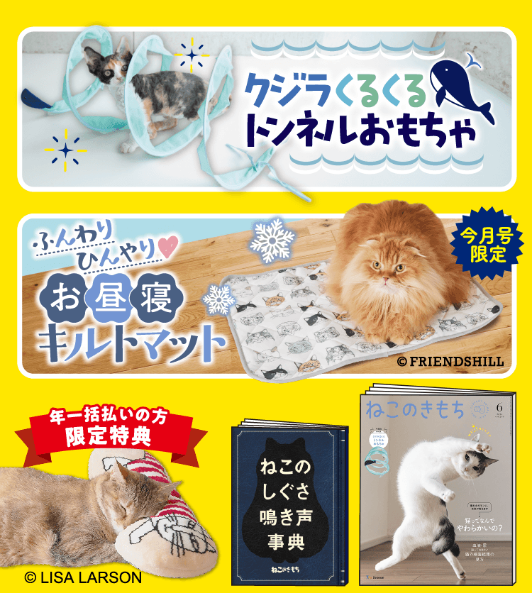 超豪華6点セット