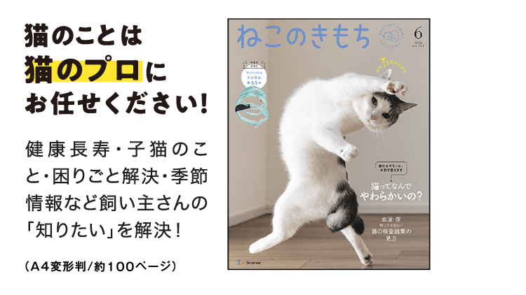 猫のことは猫のプロにお任せください！[A4判／約100ページ]