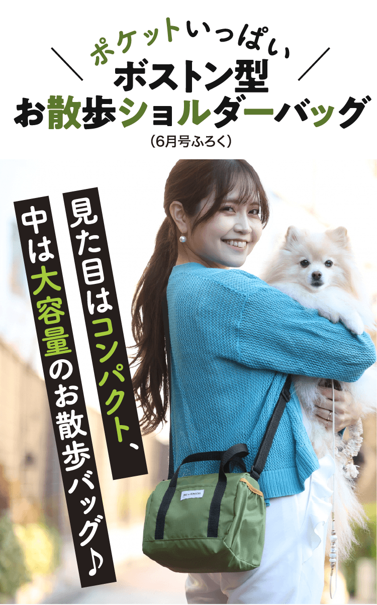 ポケットいっぱいボストン型お散歩ショルダーバッグ