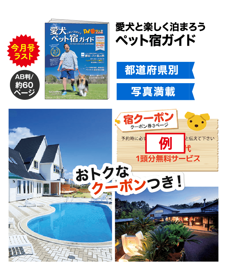 愛犬と楽しく泊まろうペット宿ガイド