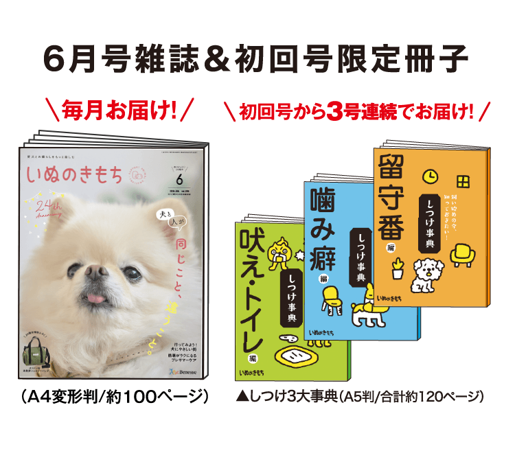 6月号雑誌＆初回号限定冊子