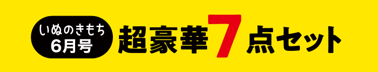 いぬのきもち6月号　超豪華7点セット